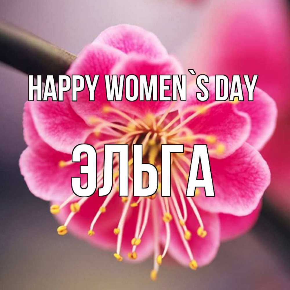 Greetings card с именем, Эльга happy women`s day цветы Greetings with text for free download 